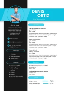 CV Professionnel Moderne : "Modèle de CV professionnel moderne pour hommes, combinant élégance et modernité."