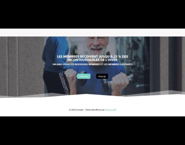 Page d’accueil Wordpress – Image 5